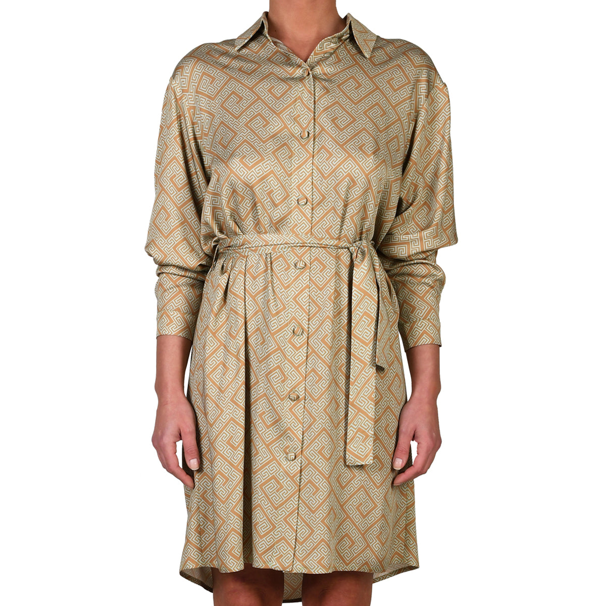 Meander Mint Gold Shirt Dress